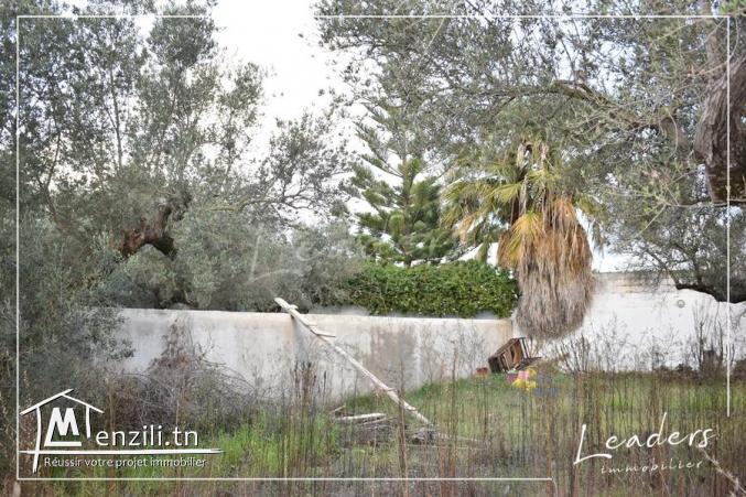 UN SUPERBE TERRAIN A LA SOUKRA