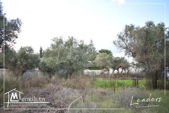 UN SUPERBE TERRAIN A LA SOUKRA