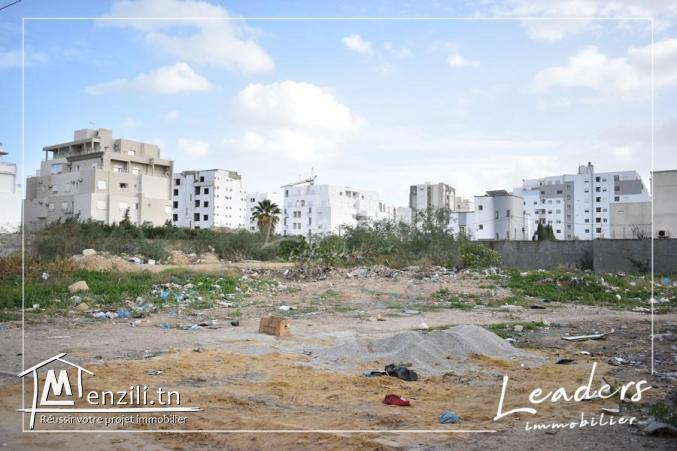 UN SUPERBE TERRAIN A LA SOUKRA