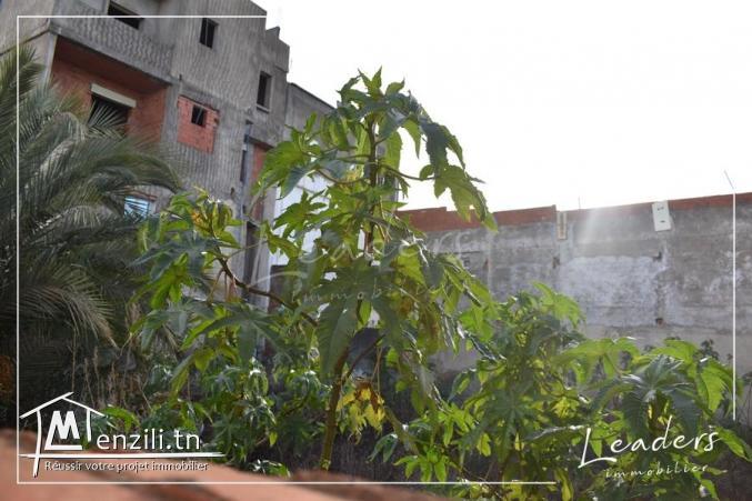 TERRAIN VENDABLE????????