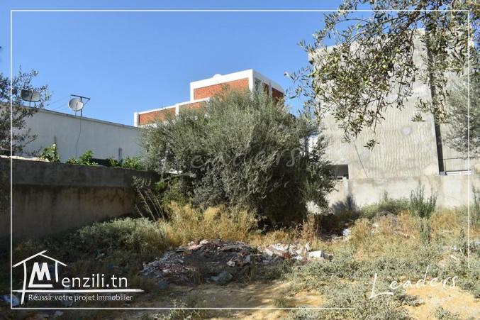 TERRAIN VENDABLE????????