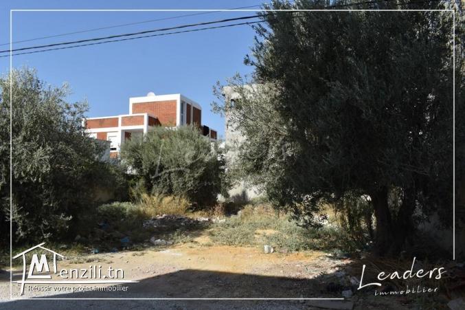 TERRAIN VENDABLE????????