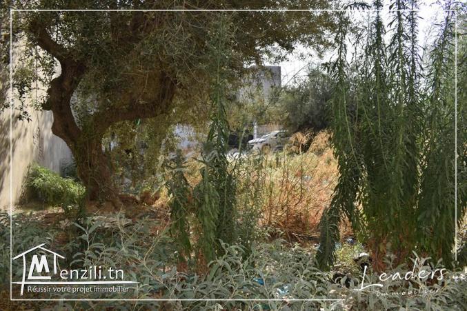 TERRAIN VENDABLE????????