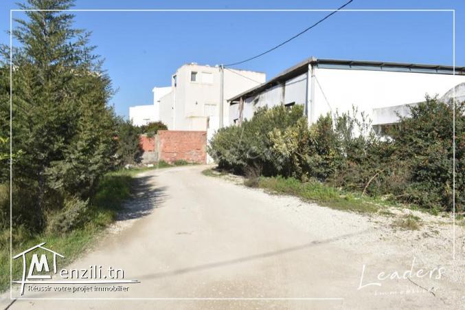 ????????UN SUPERBE TERRAIN A CHOTRANA ????????