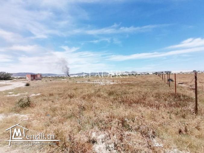 ????UN SUPERBE TERRAIN A CHOTRANA 1????