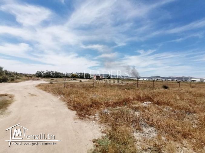 ????UN SUPERBE TERRAIN A CHOTRANA 1????