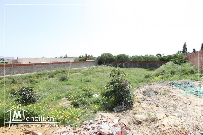 ????????UN SUPERBE TERRAIN A CHOTRANA 2 ????????