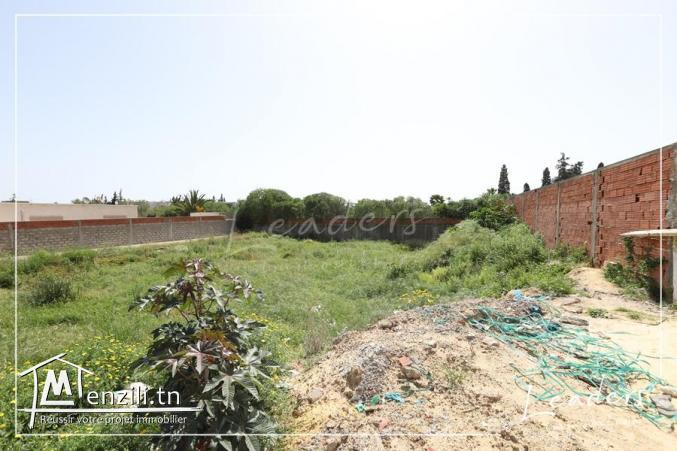 ????????UN SUPERBE TERRAIN A CHOTRANA 2 ????????