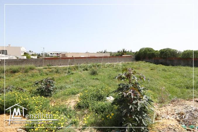 ????????UN SUPERBE TERRAIN A CHOTRANA 2 ????????