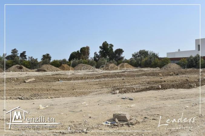 ????????UN SUPERBE TERRAIN A CHOTRANA 3 ????????