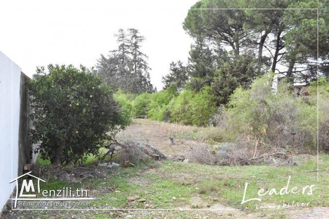 ????????UN SUPERBE TERRAIN A CHOTRANA 3 ????????