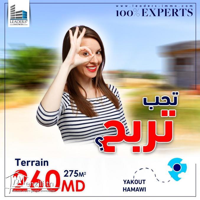 TERRAIN VENDABLE????????