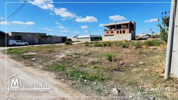 ????UN SUPERBE TERRAIN A CHOTRANA 1????