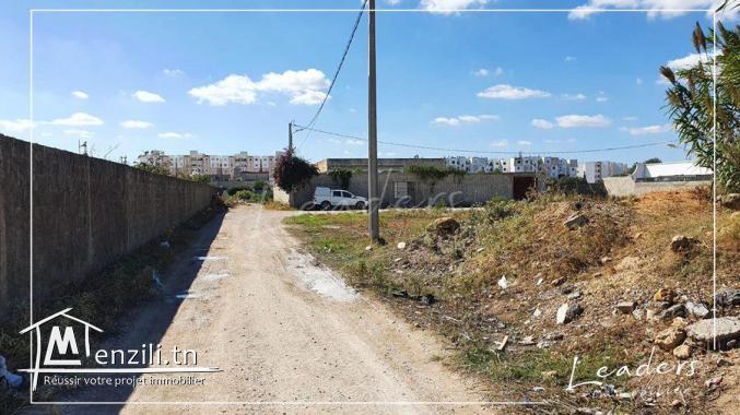 ????UN SUPERBE TERRAIN A CHOTRANA 1????