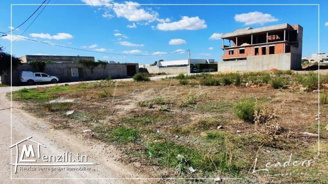 ????UN SUPERBE TERRAIN A CHOTRANA 1????