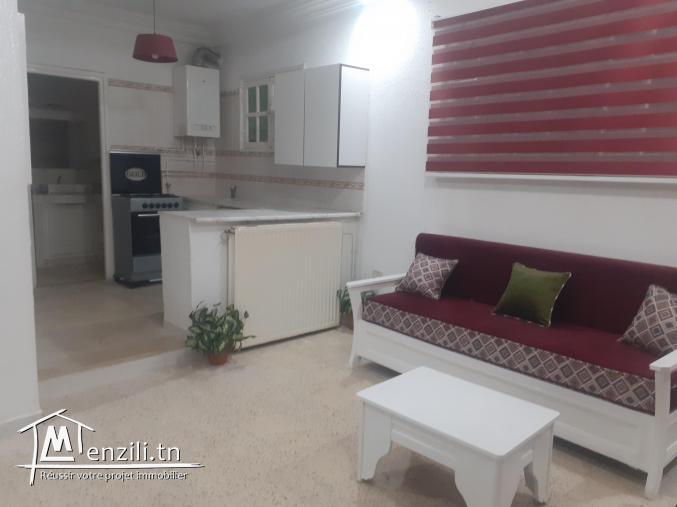 un très beau s+1 meublé