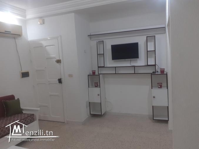 un très beau s+1 meublé