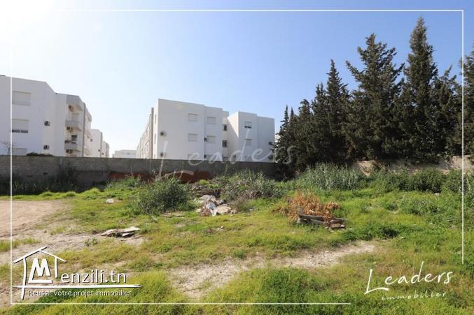 TERRAIN VENDABLE????????