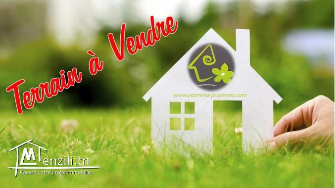 Terrain TH536 Monchar 2 :