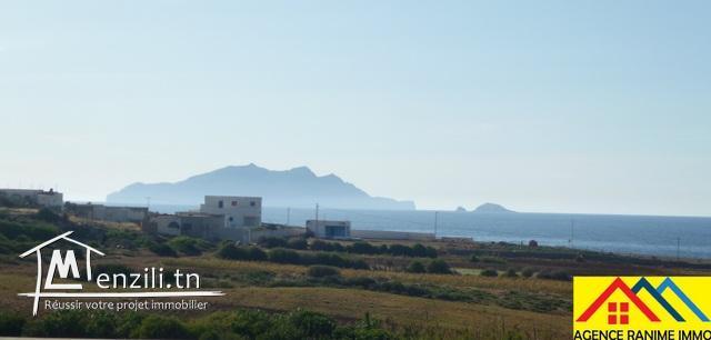 Villa ds 500m2 a la mer el haouaria