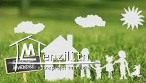 A vendre des lots des terrains à le Mnihla