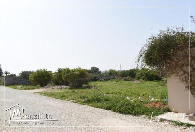 TERRAIN VENDABLE????????