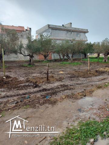 Terrain cité ennohza