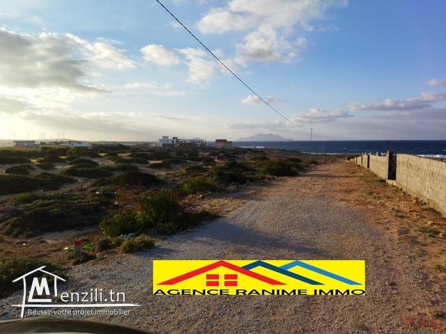 Terrain de 1000m2 a la mer el haouaria cap bon