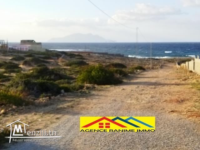 Terrain de 1000m2 a la mer el haouaria cap bon