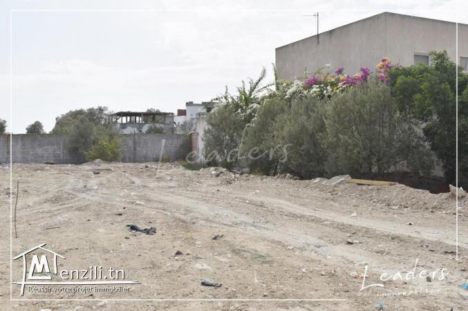 ????????UN SUPERBE TERRAIN A CHOTRANA 3 ????????