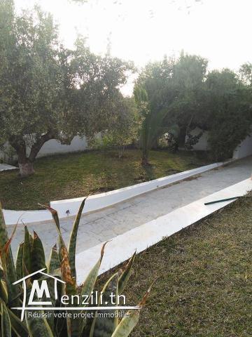 VILLA GOLDEN HAMMAMET :