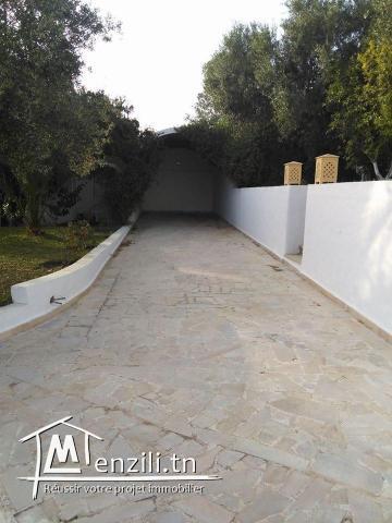 VILLA GOLDEN HAMMAMET :