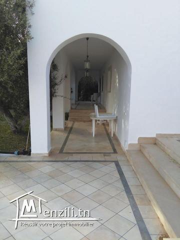 VILLA GOLDEN HAMMAMET :