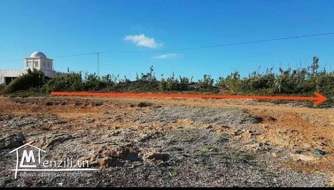 Terrain pied dans l'eau