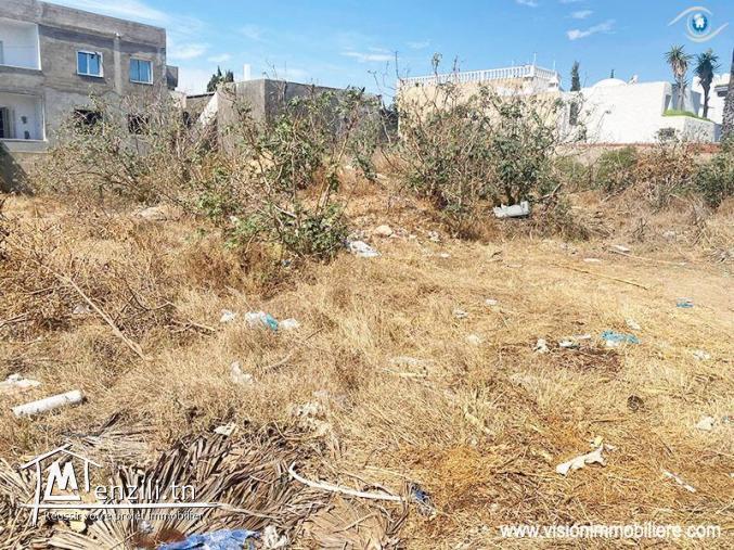Vente Terrain Zahra