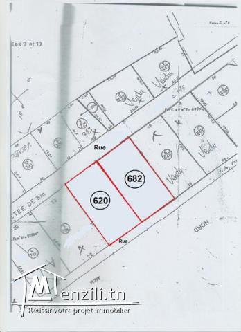 #Terrain #620M²#Chatt Mariem Prés #La Maison Des Jasmins