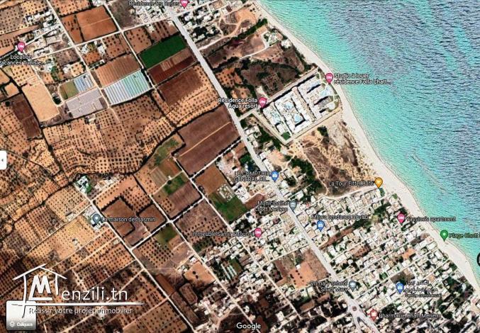 #Terrain #620M²#Chatt Mariem Prés #La Maison Des Jasmins