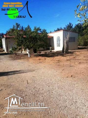 #A VENDRE = #Senya Cloturé #15000M² #Sidi Bouali