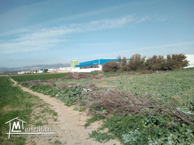 Terrain à vendre à Medjez El Bab