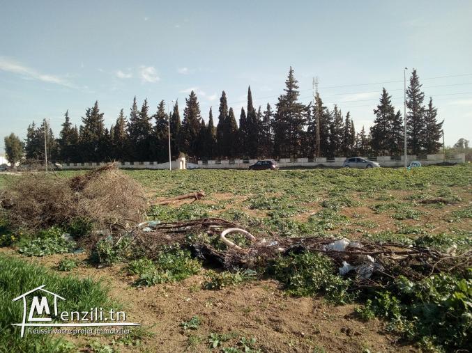 Terrain à vendre à Medjez El Bab