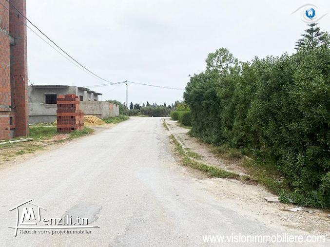 Vente Terrain Mohamed