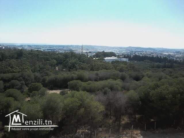 A vendre à Radès Forêt