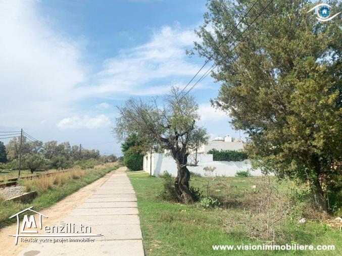 Vente Terrain Lorraine