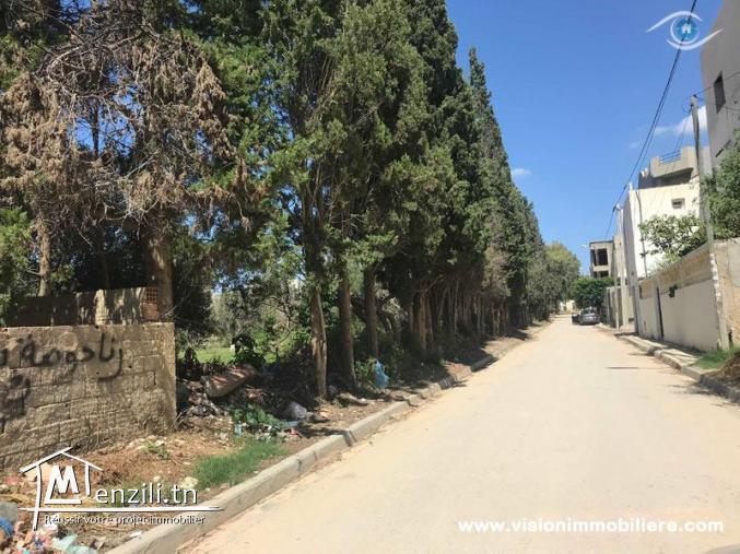 Vente terrain Mrezga 1