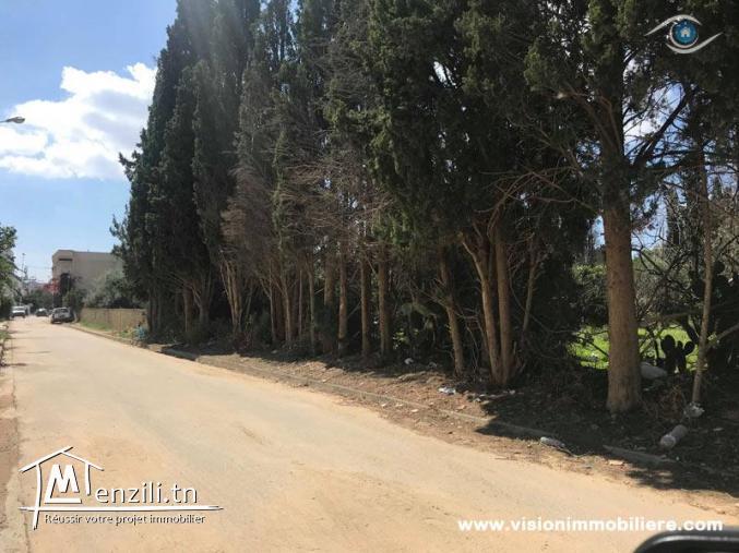 Vente terrain Mrezga 1