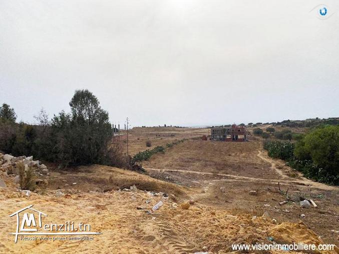 Vente Terrain Laubriette