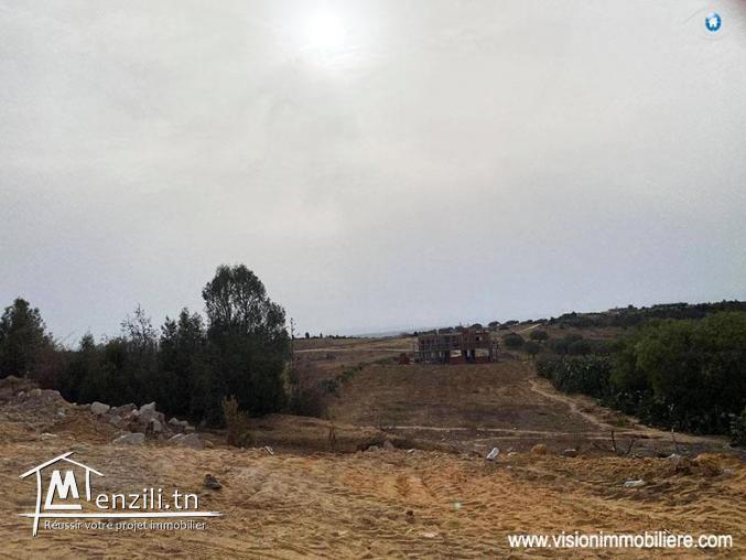 Vente Terrain Laubriette