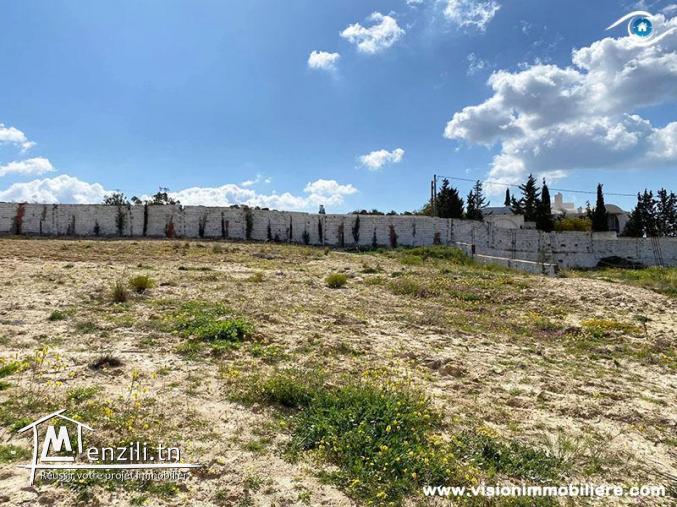 Vente Terrain Skander