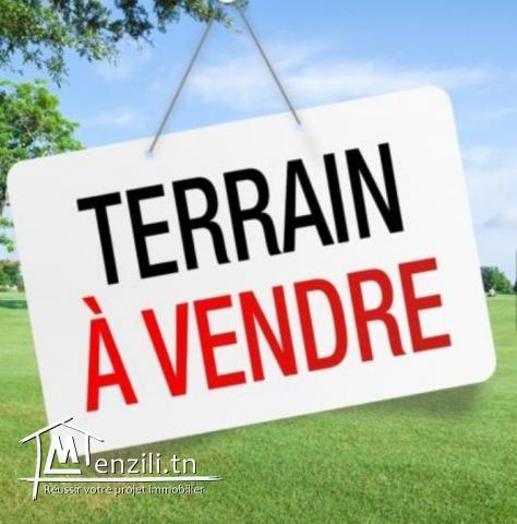 A vendre terrain