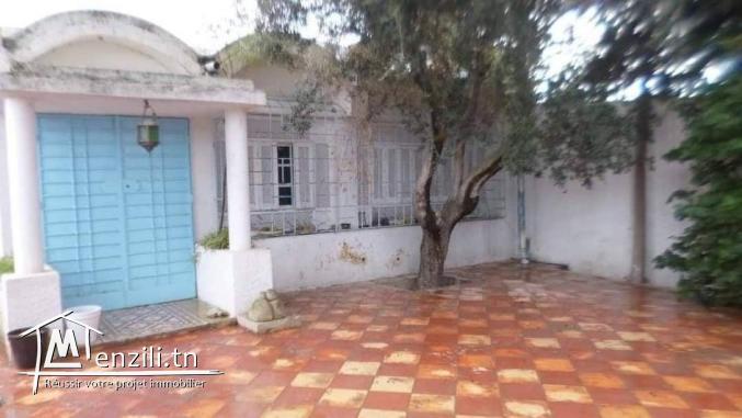 villa typique à vendre